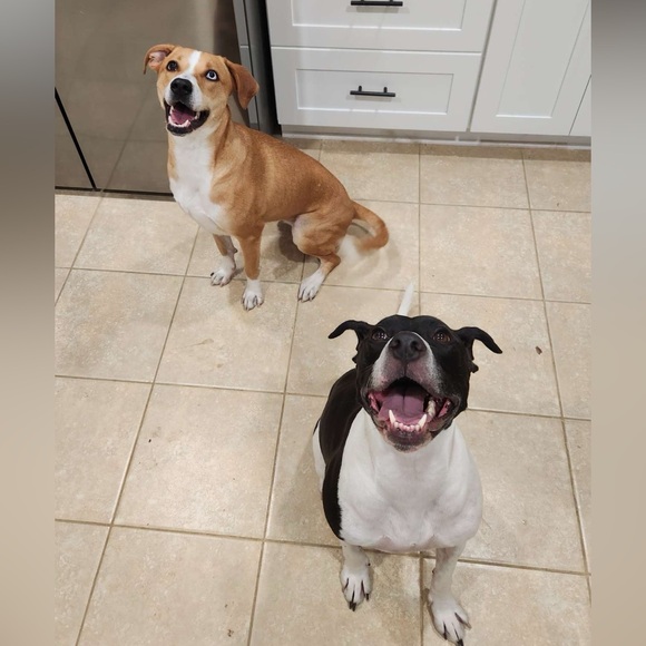 Live Show Flyer, Hangout with @hey_its_hayley ❤️Unlisted, steal deals, and more! - Picture 6 of 6